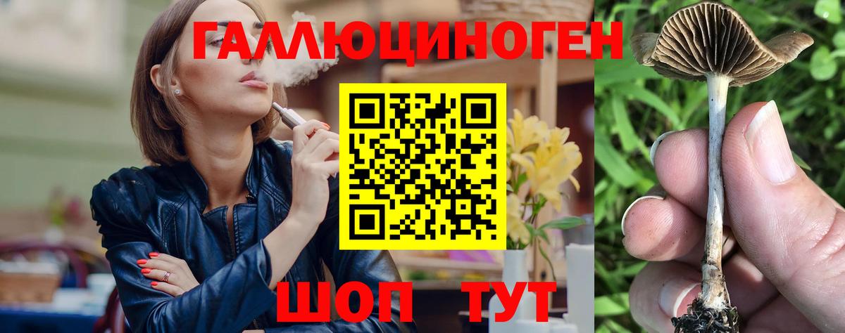 Галлюциногенные грибы Cubensis  Вход с VPN  Камышлов 